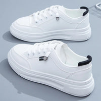 Branco com detalhe Preto